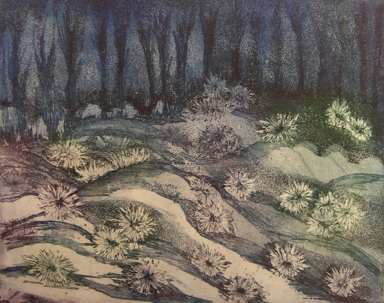 Sahar Kamhawi - 40 * 50 - Inataglio Printing (engraving, itching, aquatint)