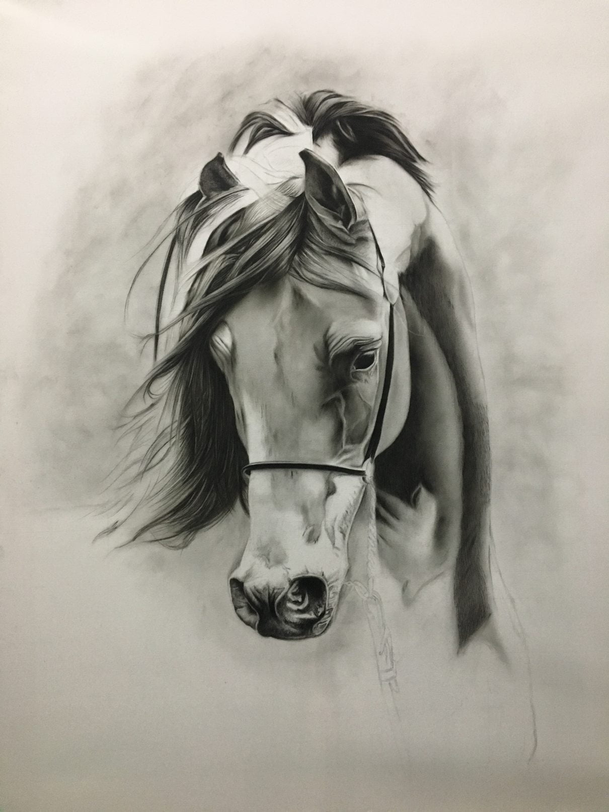 Shahnaz Al-Qassab booklet featured