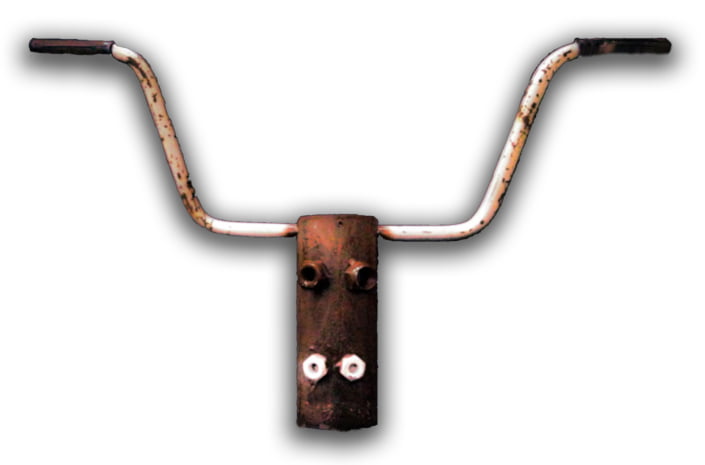 bull-head