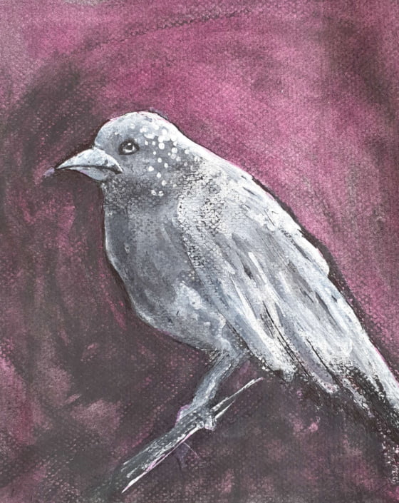 Bird