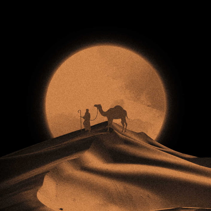 Golden Night Walk