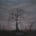 Heavy Rain